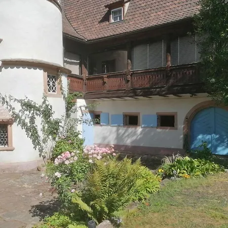 Apartment Maison Kobold Xvie Siecle Wissembourg