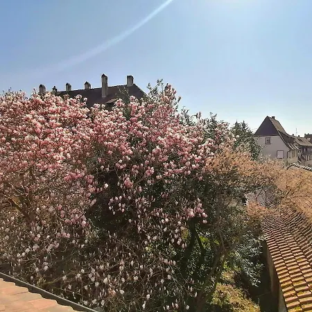 Maison Kobold Xvie Siecle Apartment Wissembourg