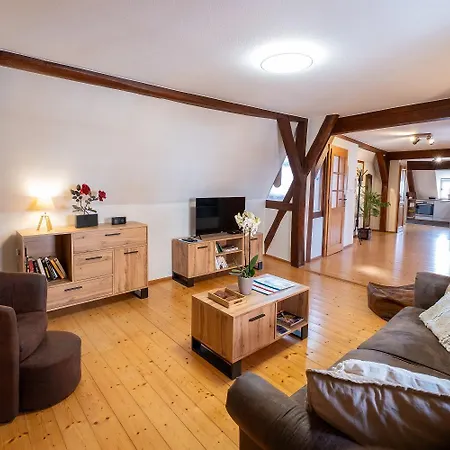 Maison Kobold Xvie Siecle Apartament Wissembourg