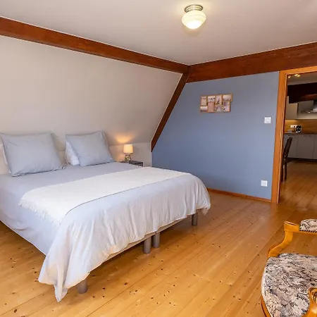 Maison Kobold Xvie Siecle アパート